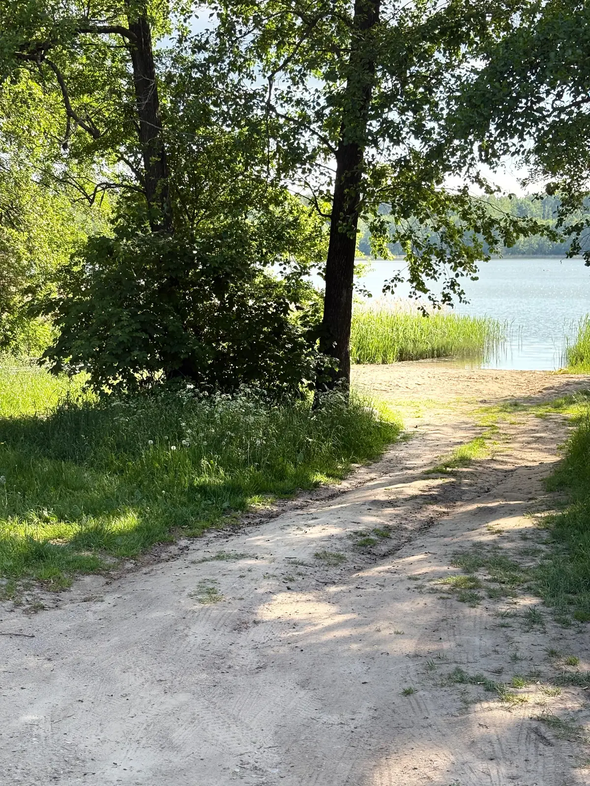 Widok na jezioro